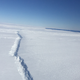 A new rift in West Antarctica’s Pine Island Glacier, photographed during a NASA Operation IceBridge flyover on November 4th, 2016. Image: NASA/Nathan Kurtz